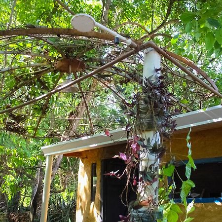 A Casinha Do Forneiro Villa Bonito  Dış mekan fotoğraf